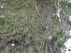 20110428112459-DSCF7327.JPG