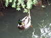 20110428114348-DSCF7341.JPG
