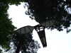 20110428115314-DSCF7347.JPG