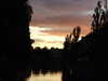 20110527210652-DSCF7556.JPG