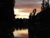 20110527210656-DSCF7557.JPG