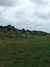 20110705111446-DSCF7661.JPG
