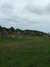 20110705111453-DSCF7663.JPG