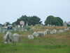 20110705112302-DSCF7672.JPG