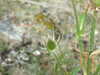 20110707111033-DSCF7786.JPG