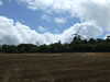20110707141708-DSCF7795.JPG