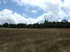 20110707141720-DSCF7796.JPG