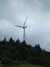 20110707141837-DSCF7801.JPG
