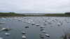 2011-07-08:le conquet
