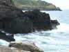 20110708113014-DSCF7805.JPG