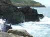 20110708113020-DSCF7807.JPG