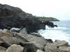 20110708113043-DSCF7809.JPG