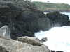 20110708113102-DSCF7812.JPG