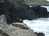20110708113128-DSCF7813.JPG