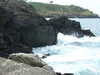 20110708113131-DSCF7814.JPG
