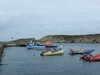 20110708113333-DSCF7817.JPG