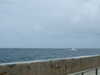 20110708113408-DSCF7818.JPG
