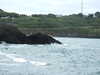 20110708113705-DSCF7819.JPG