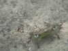20110710110404-PICT0003.JPG