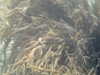 20110710110405-PICT0004.JPG