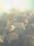 20110710110406-PICT0005.JPG