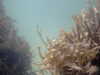20110710110408-PICT0007.JPG