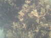 20110710110410-PICT0009.JPG