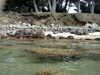 20110710110413-PICT0012.JPG