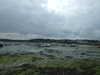 20110711121313-DSCF7871.JPG
