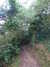 20110712212108-DSCF7883.JPG