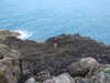 20110712213045-DSCF7900.JPG
