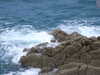 20110712213143-DSCF7903.JPG