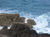 20110712213152-DSCF7904.JPG