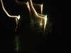 20110713232023-DSCF7924.JPG