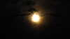 20110714210123-IMG_4604.JPG