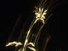 20110714230954-DSCF7987.JPG