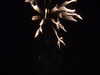20110714231728-DSCF8010.JPG