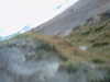 20110917174133-PICT0042.JPG