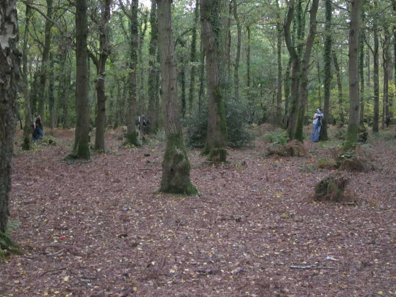 20111029154217-IMG_1073.JPG
