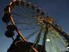 20111126165514-DSCF8024.JPG
