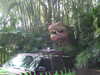 20120112115136-DSCF8111.JPG