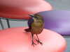 20120113105812-DSCF8139.JPG