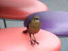 20120113105816-DSCF8140.JPG
