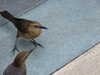 20120113110811-DSCF8141.JPG