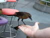 20120113110837-DSCF8144.JPG