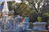 20120113155017-DSC_0079.JPG