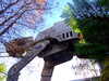 20120114093537-DSCF8183.JPG