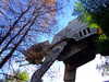 20120114093541-DSCF8184.JPG