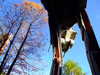 20120114093548-DSCF8185.JPG