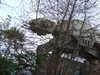 20120114170039-DSCF8223.JPG